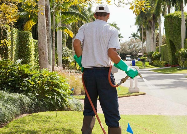 About Tortilla Flat AZ Pest Control Pros